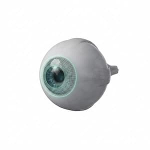Ophthalmologist Surgery & Cornea Transplant
